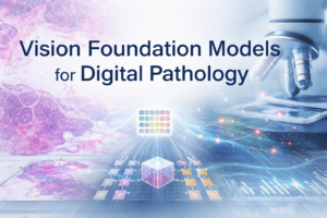 VisonFoundationModels