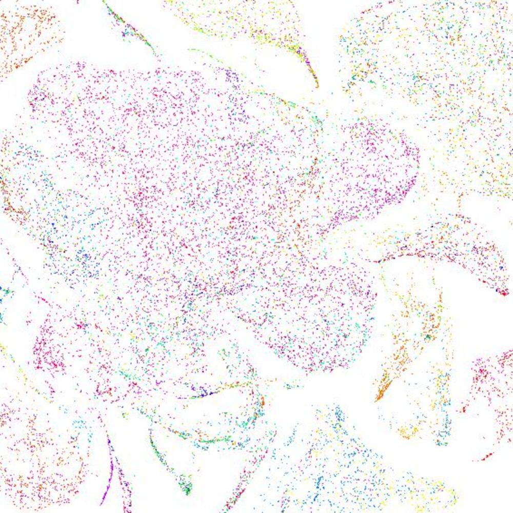 single-cell characterization